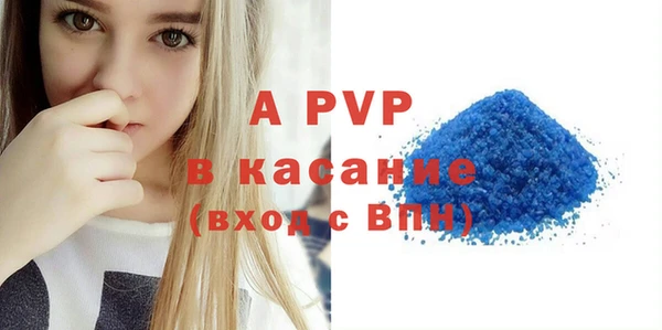 индика Абинск