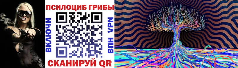 дарк нет телеграм  Среднеколымск  Псилоцибиновые грибы мухоморы 